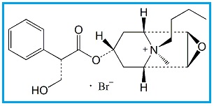 Hyoscine Butylbromide EP Impurity F